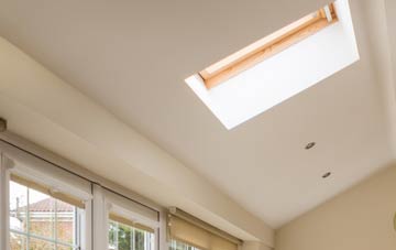 Lillesdon conservatory roof insulation companies